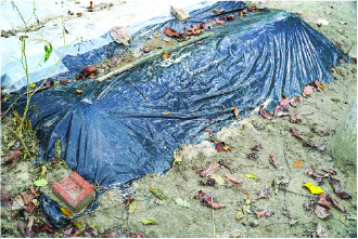 Image of মো: আশরাফুল ইসলাম
